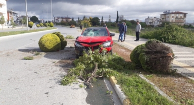 Kaldırımdaki ağaçlara çarptı