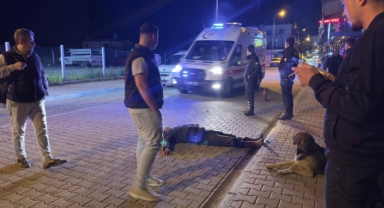 Köpeği yalnız bırakmadı