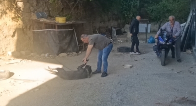 Köpek kalkan oldu, motosiklet jandarmadan saklandı