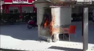Mısır arabası yandı