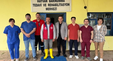 Satın alma sahiplen