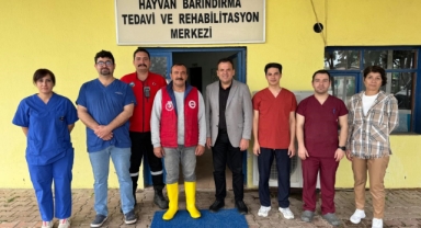 Sokak hayvanlarına destek çağrısı