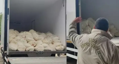 Tarihi geçmiş tonlarca peynir ele geçirildi