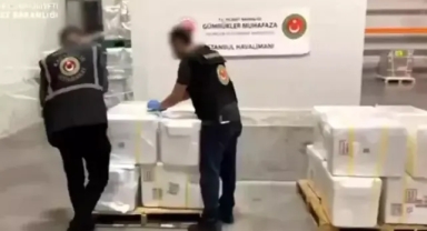 Ticaret Bakanlığı: 455 kilo kokain ele geçirildi