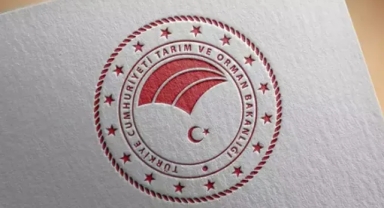 81 ilde Orman Benim etkinliği