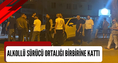 Alkollü sürücü ortalığı birbirine kattı