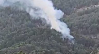 Antalya'da orman yangını