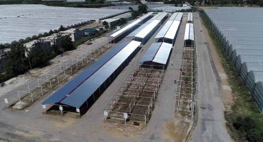 Başkan Kumbul: Kurban satış alanlarında konforlu bir ortam oluşturuyoruz