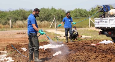 Büyükşehir kurban satış noktalarını ilaçlıyor