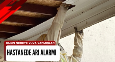 Hastanede arı alarmı.... Bakın nereye yuva yapmışlar!