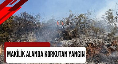 Makilik alanda korkutan yangın