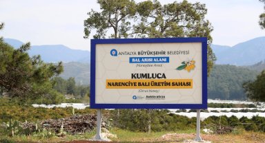 Narenciye balı koruma altında