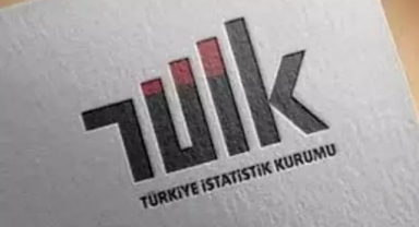 TÜİK: En yüksek reel getiri aracı belli oldu