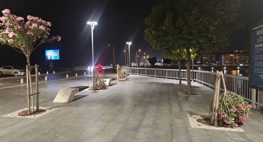 Vandallar sahildeki ağaçları kırdı
