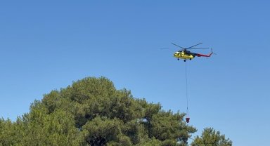 Antalya Aksu'da orman yangını