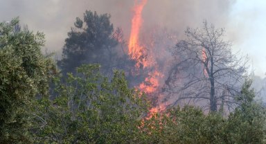 Antalya'da 9 günde 14 orman yangını
