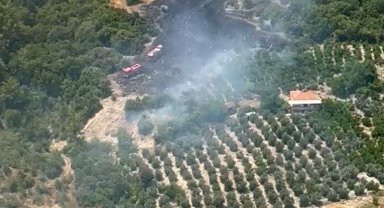 Antalya'da arazi yangını; ormana sıçramaması için yoğun müdahale