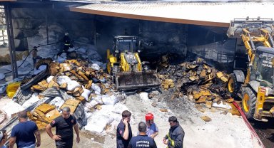 Antalya'da fide üretim tesisinde yangın - Yeniden