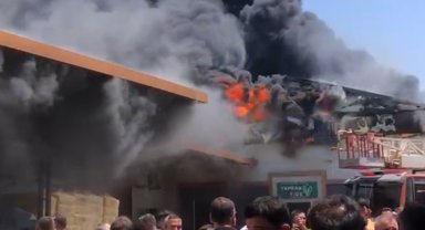 Antalya'da fide üretim tesisinde yangın