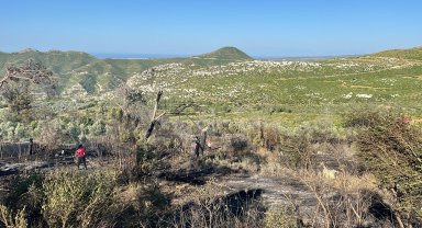 Antalya'da orman yangını kontrol altında