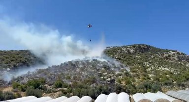 Antalya'da orman yangını