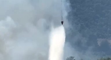 Antalya'da orman yangını