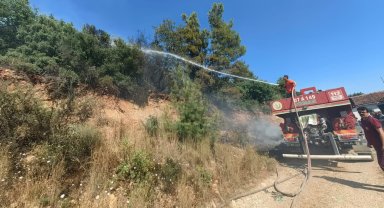Antalya'nın 3 ilçesinde orman yangını