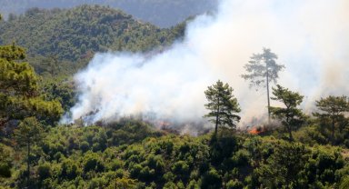 Antalya'nın 3 ilçesinde orman yangını