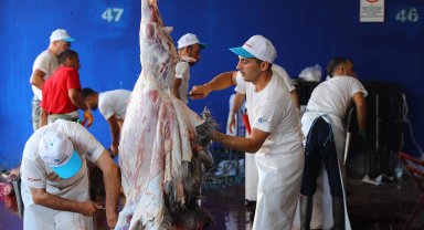 Büyükşehir Belediyesi Kurban Bayramına hazır