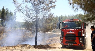 Büyükşehir İtfaiyesi'nden orman yangınlarına müdahale
