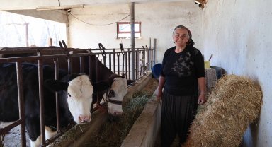 Büyükşehir'den tarım ve hayvancılığa büyük destek