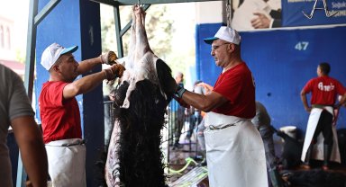 Büyükşehir'den ücretsiz ve hijyenik kurban kesim hizmeti