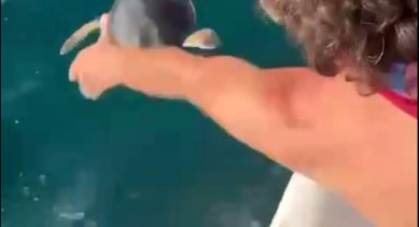 Çuvala dolanan yavru deniz kaplumbağasını balıkçılar kurtardı