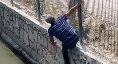 Finike'de kaçan kurbanlık dereye atladı