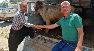 Gazipaşa'daki kurban pazarında hareketlilik