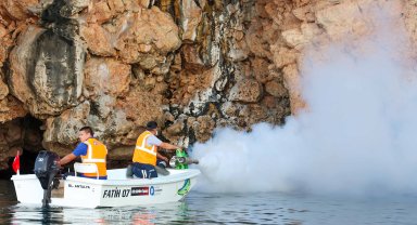 Karadan ve denizden vektörel mücadele