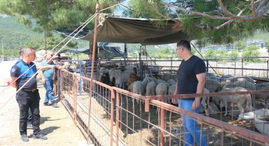 Kurban satış alanlarında denetim