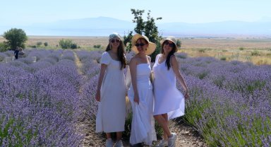 Lavanta Hasat ve Sanat Günleri başladı