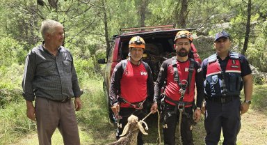 Mağarada mahsur kalan keçi kurtarıldı
