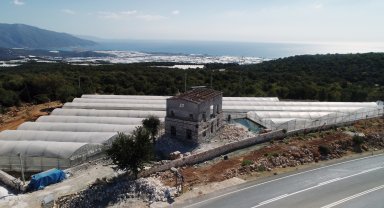 Müze müdürü, 'izinsiz uygulama' kararında imzası olduğu araziyi kendine almış