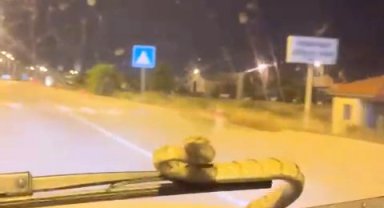 Otomobile giren yılan, seyir halinde ön cama çıktı
