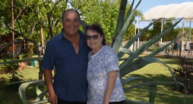 Serik'te Agave ağacı bulundu