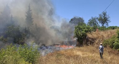 Tarım arazisinde yangın çıktı