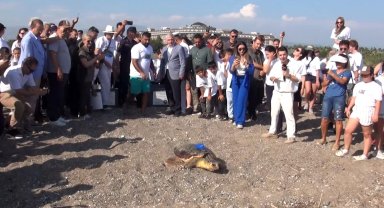 Uydu izleme cihazı takılan 2 deniz kaplumbağası denize salındı