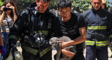 Yangında mahsur kaldığı evde kedisini bir an bile bırakmadı