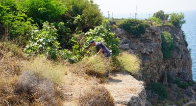 'Falezlerin gelini' de yangından etkilendi