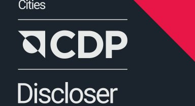 Antalya Büyükşehir Belediyesi'ne CDP'den 'Saydamlık 2024' Rozeti