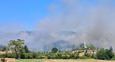 Antalya'da 2 orman yangını sürüyor; 2'si kontrol altında