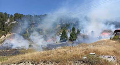 Antalya'da 4 orman yangın kontrol altında, 2'sine müdahale sürüyor