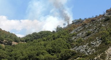 Antalya'da orman yangını